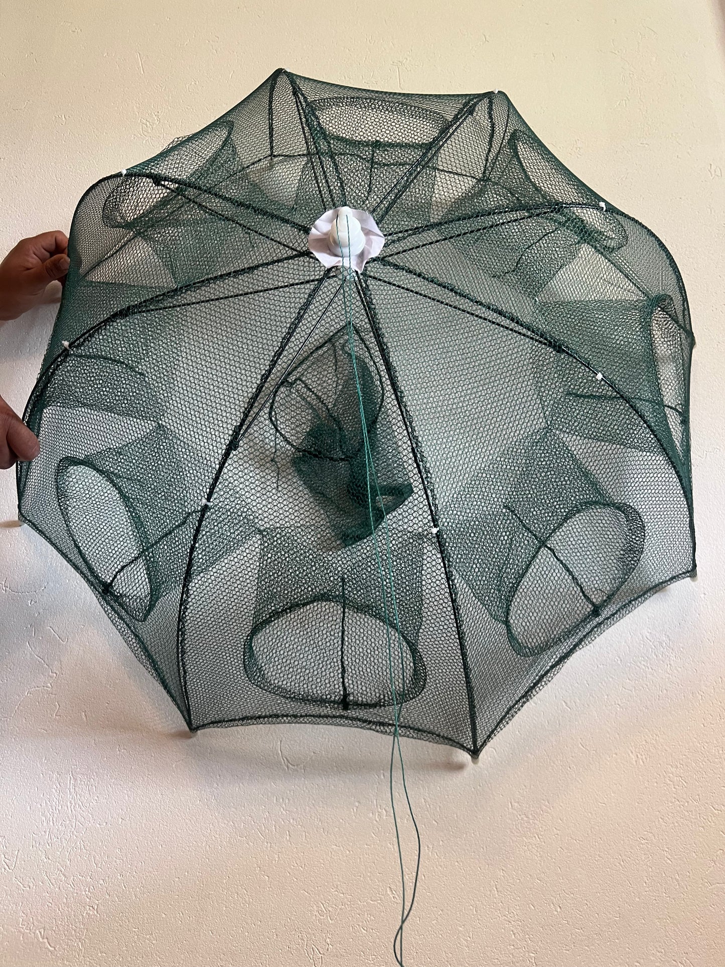 Trampa de Mojarras  8 Bocas